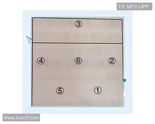 深圳排球队的战术解析与控制能力深度剖析