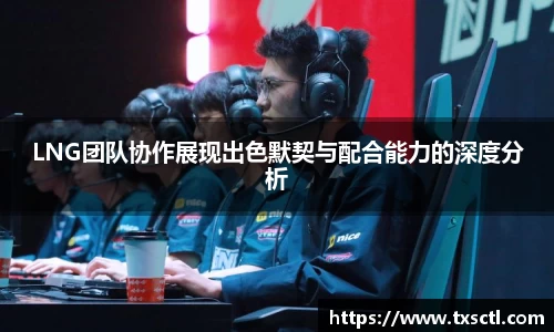 LNG团队协作展现出色默契与配合能力的深度分析