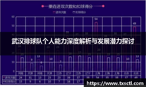武汉排球队个人能力深度解析与发展潜力探讨