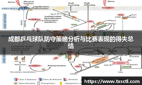成都乒乓球队防守策略分析与比赛表现的得失总结