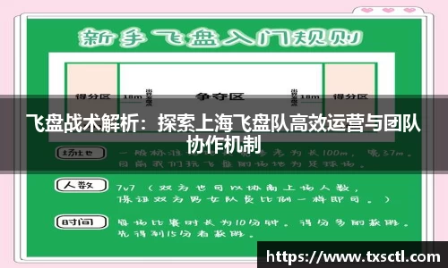 飞盘战术解析：探索上海飞盘队高效运营与团队协作机制